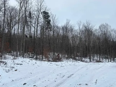 00 Vt Route 114 Warren Gore VT 05846