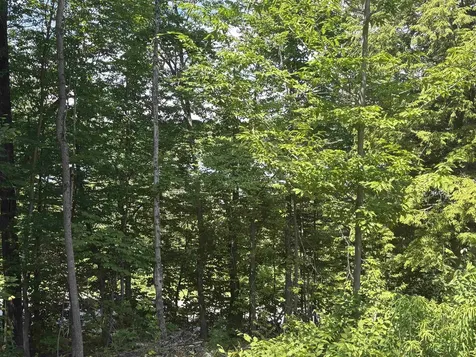 00 Vt Route 114 Warren Gore VT 05846