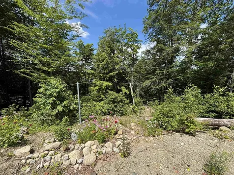 00 Vt Route 114 Warren Gore VT 05846