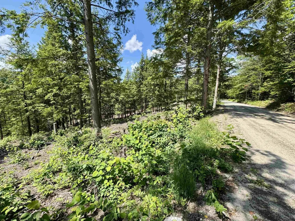 00 Annis Road Groton VT 05046