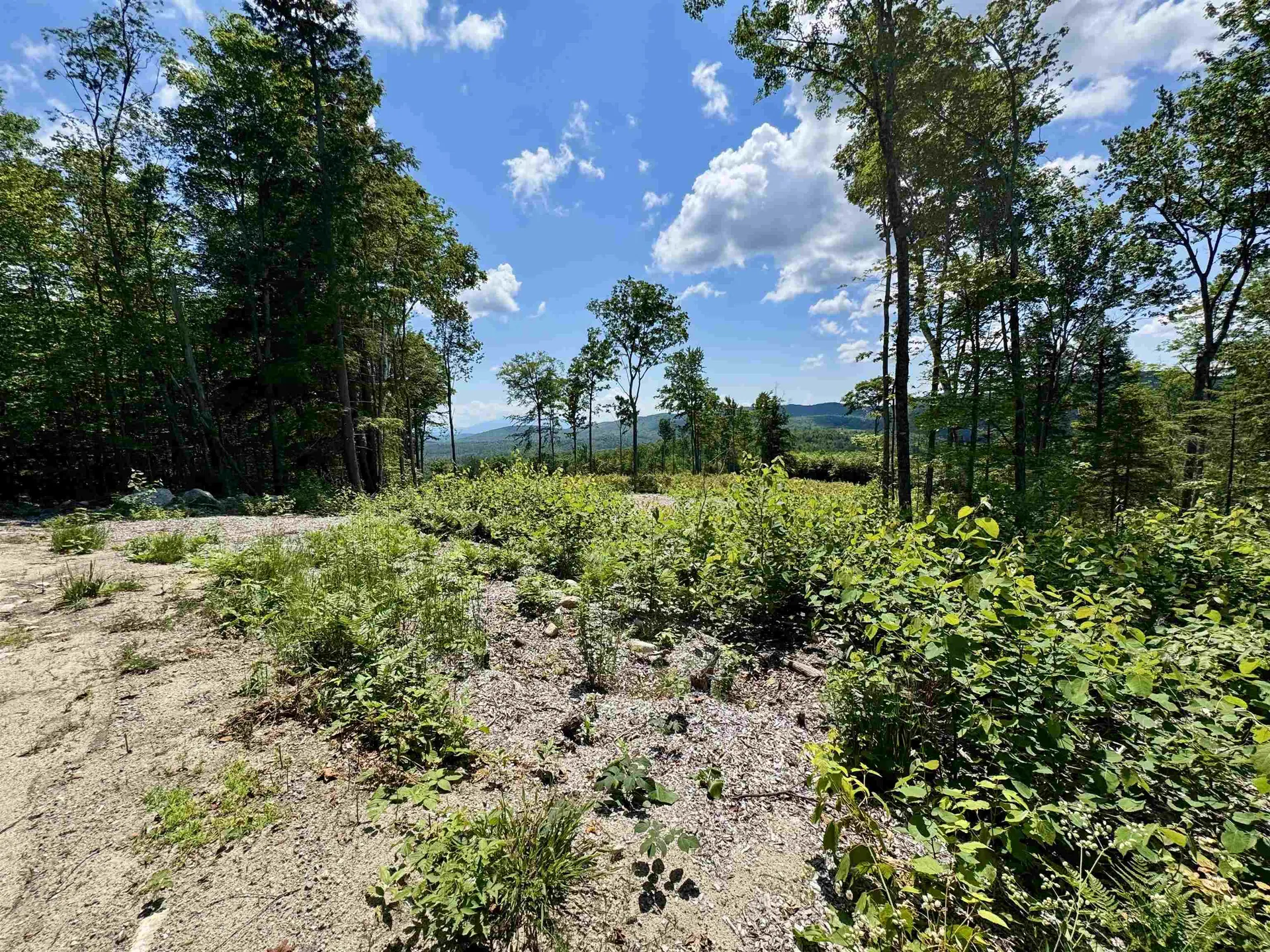 00 Annis Road Groton VT 05046