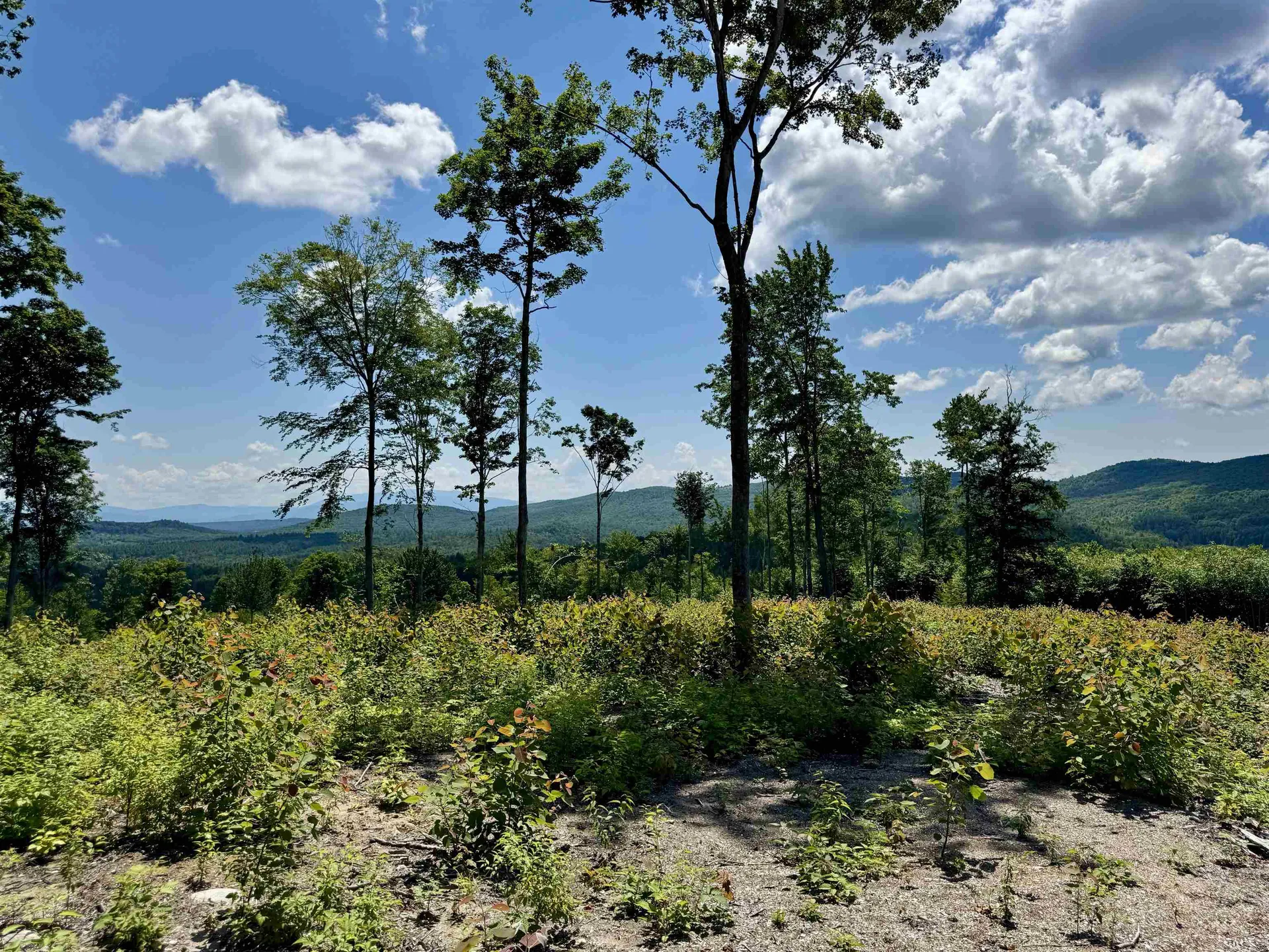 00 Annis Road Groton VT 05046