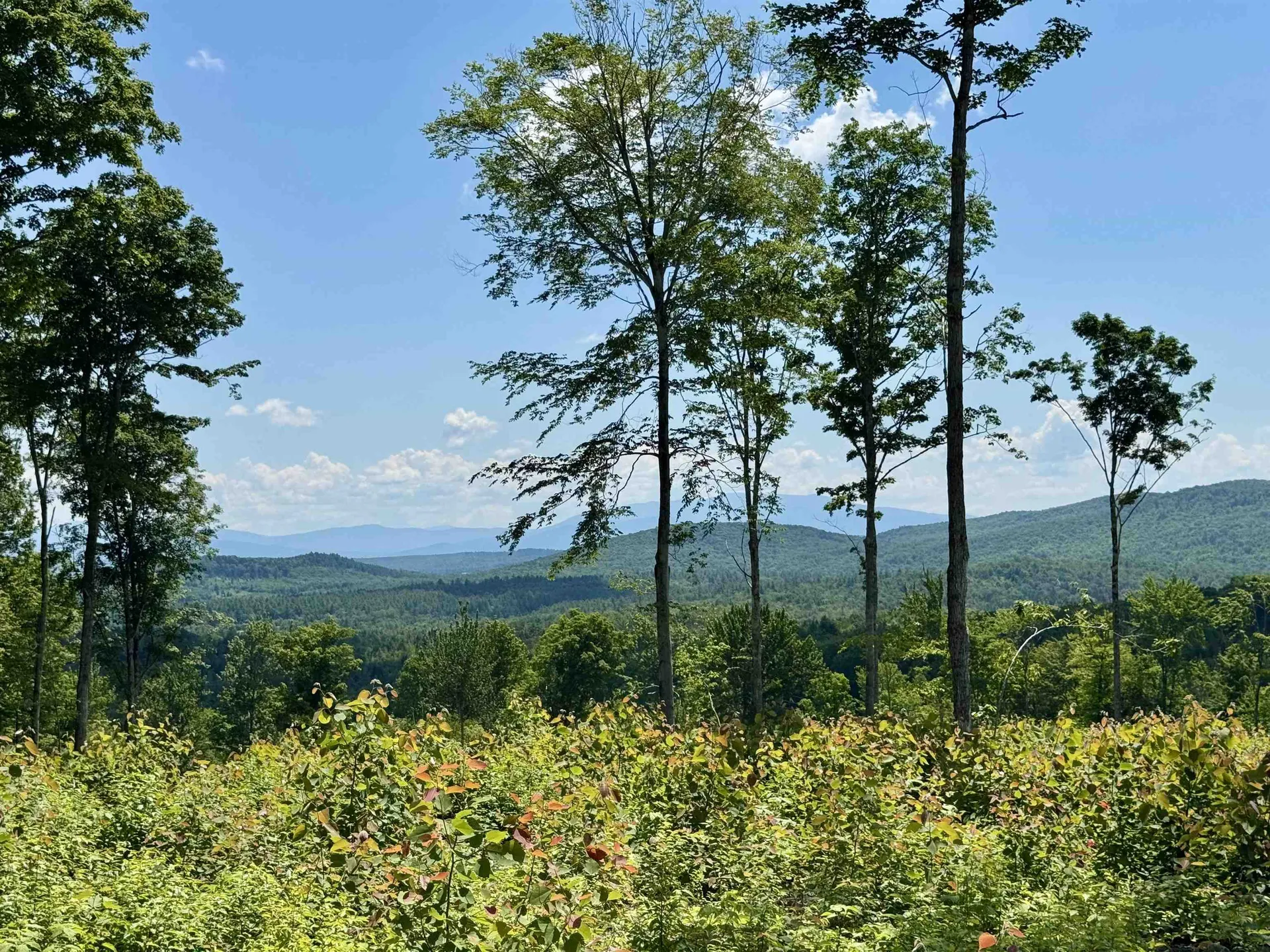 00 Annis Road Groton VT 05046