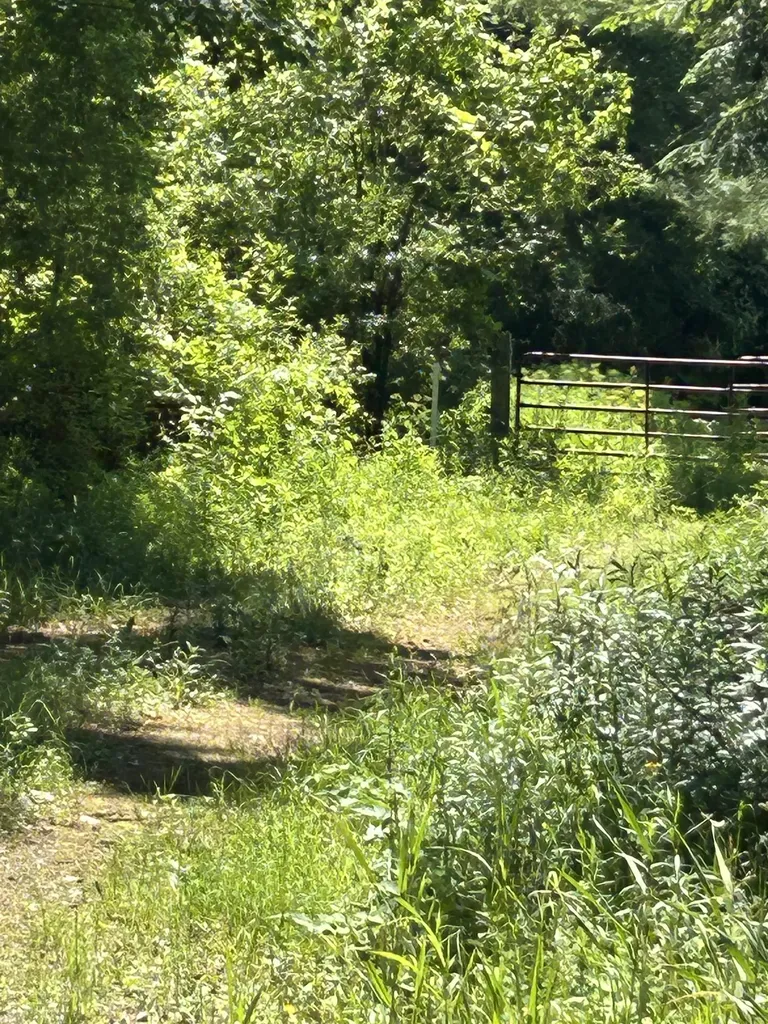 0 Truax Drive Milton VT 05468