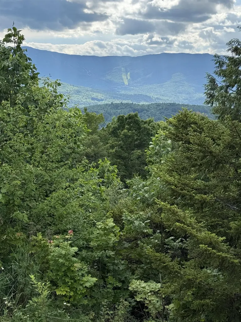884 Palmer Hill Road Waitsfield VT 05673