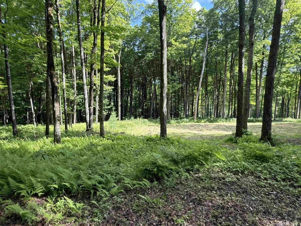 884 Palmer Hill Road Waitsfield VT 05673