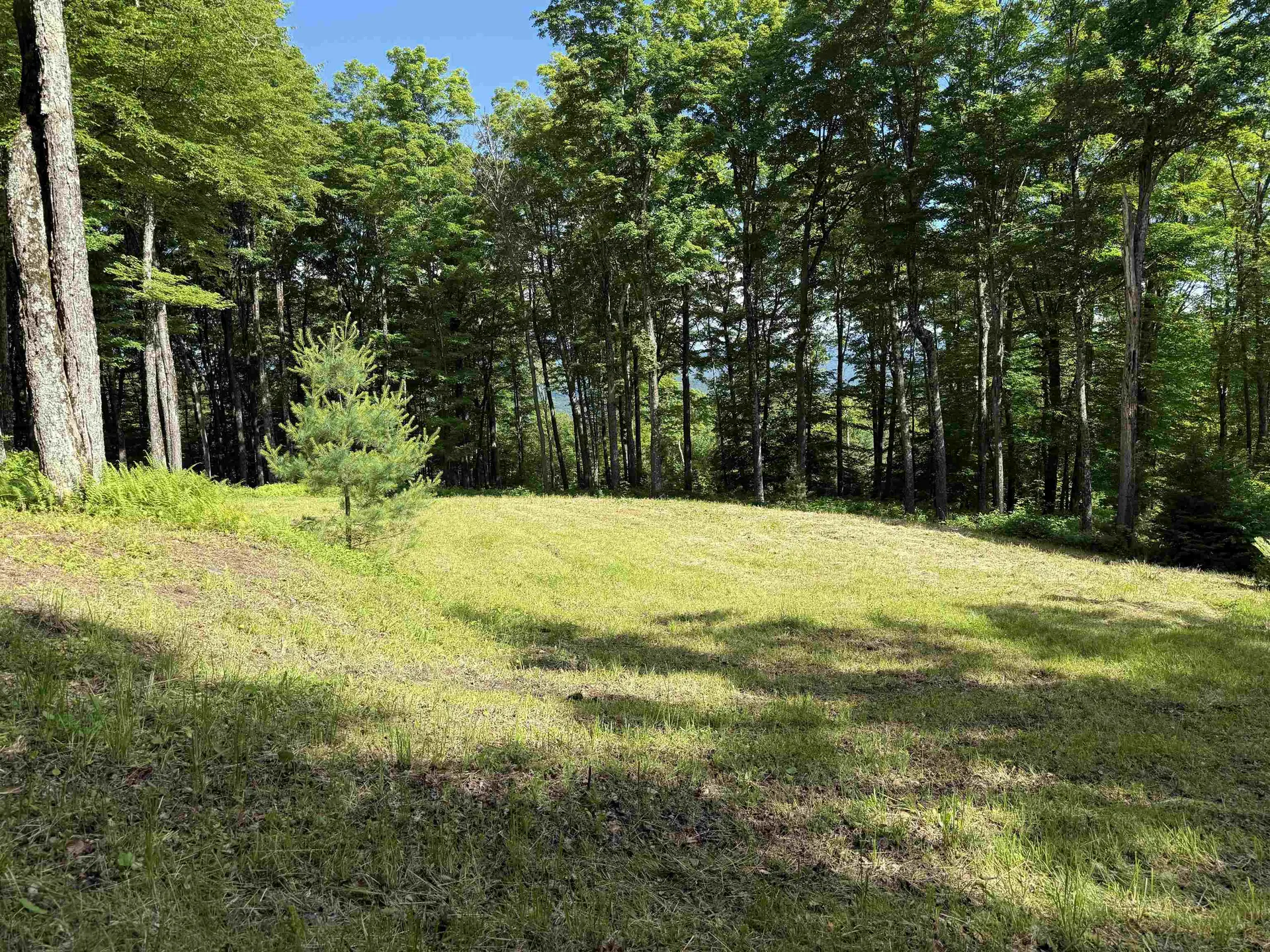 884 Palmer Hill Road Waitsfield VT 05673