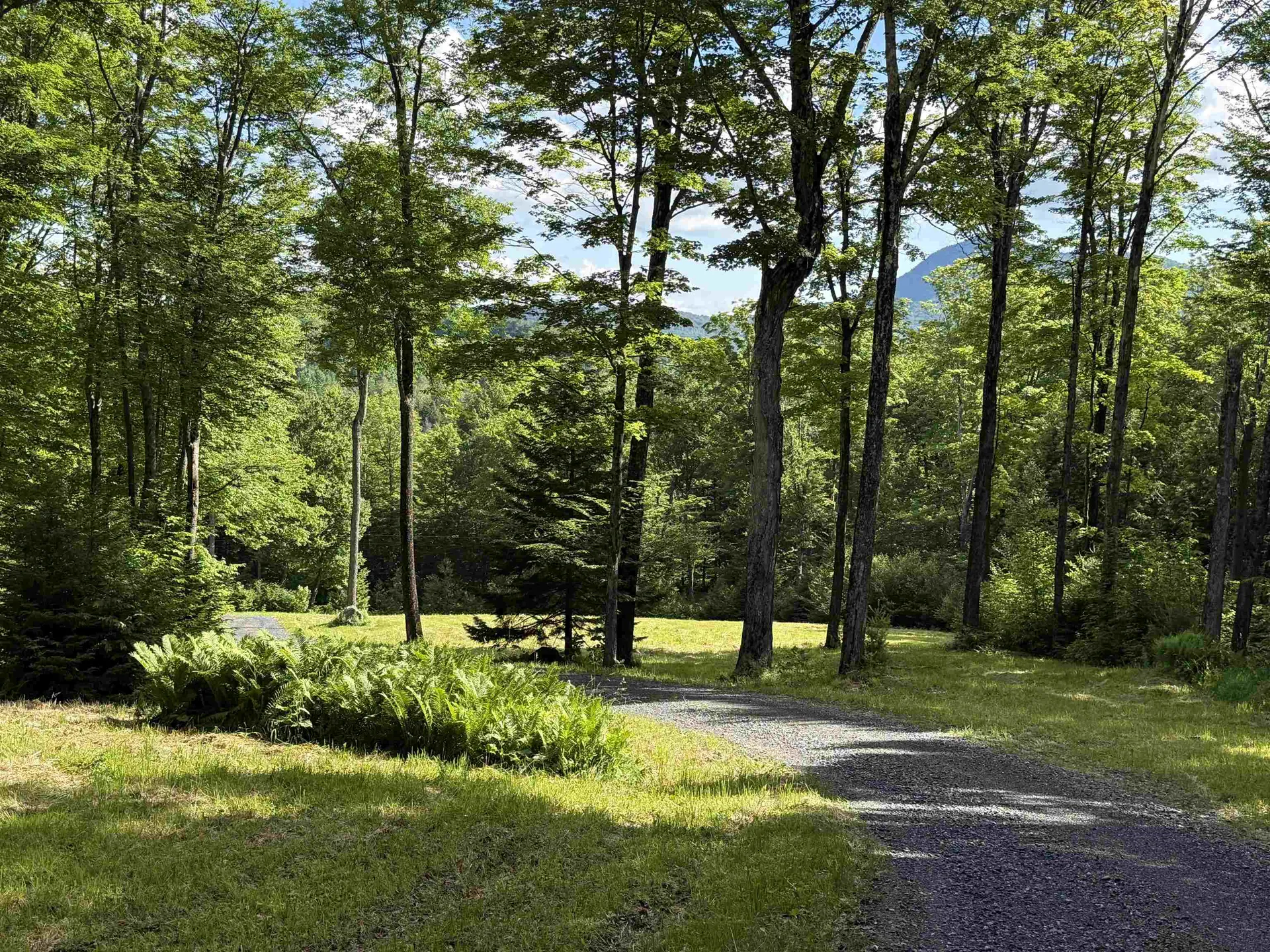 884 Palmer Hill Road Waitsfield VT 05673