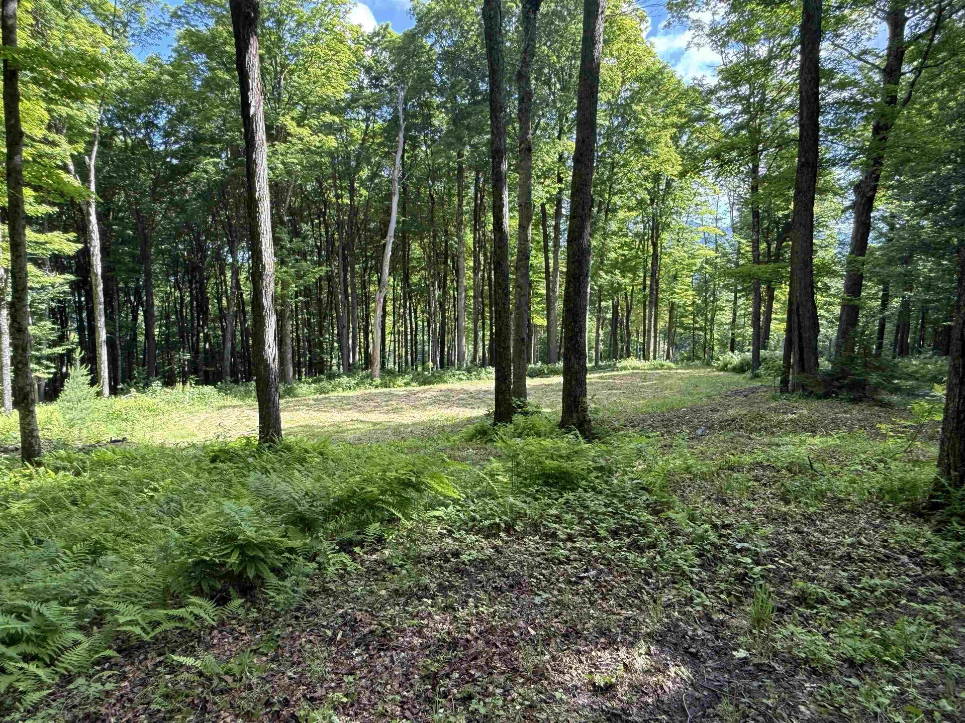 884 Palmer Hill Road Waitsfield VT 05673