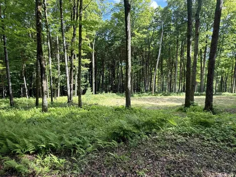 884 Palmer Hill Road Waitsfield VT 05673