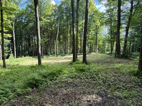 884 Palmer Hill Road Waitsfield VT 05673