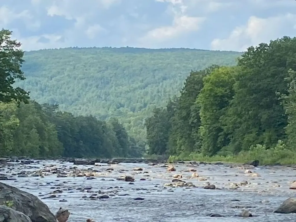 3333 West River Road Dummerston VT 05301