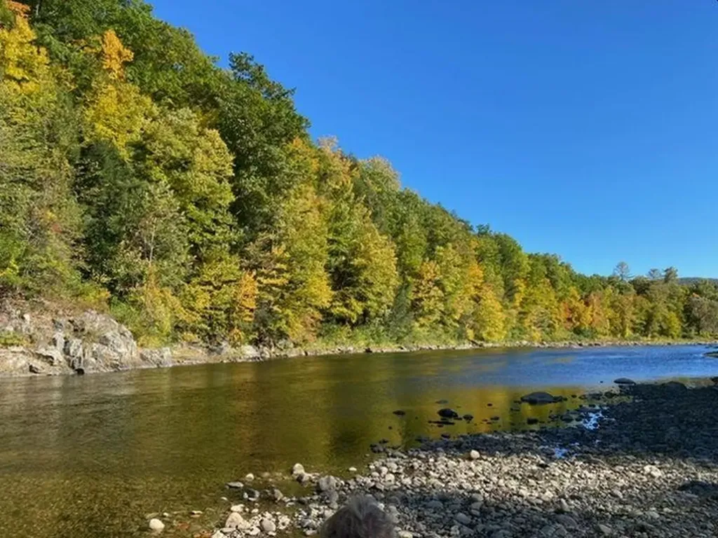 3333 West River Road Dummerston VT 05301