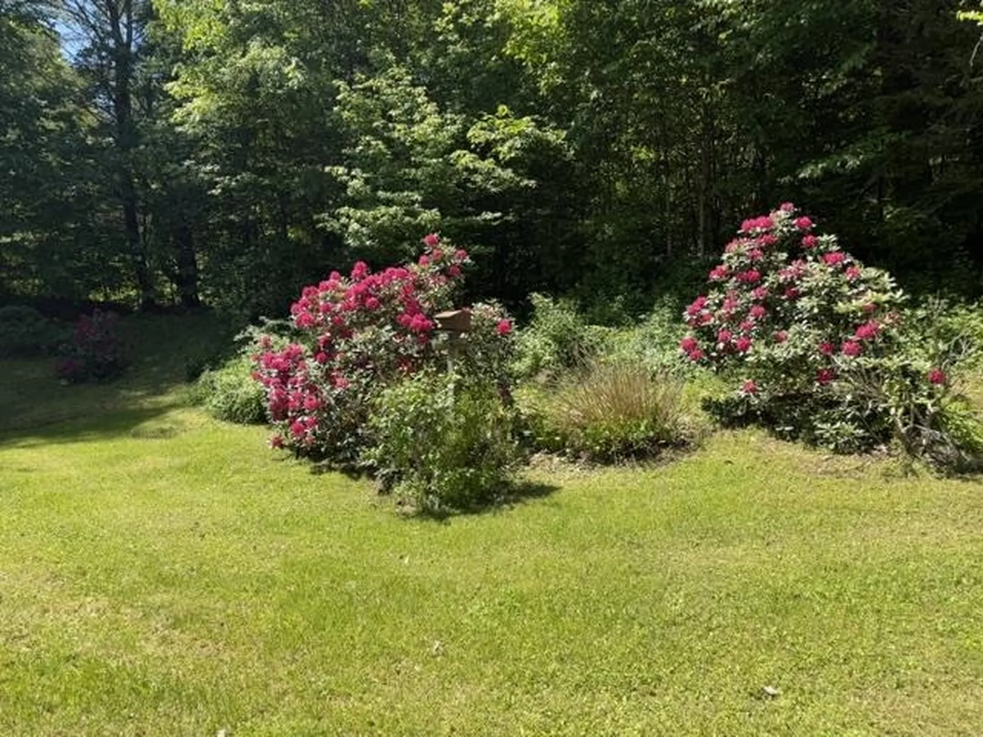 3333 West River Road Dummerston VT 05301
