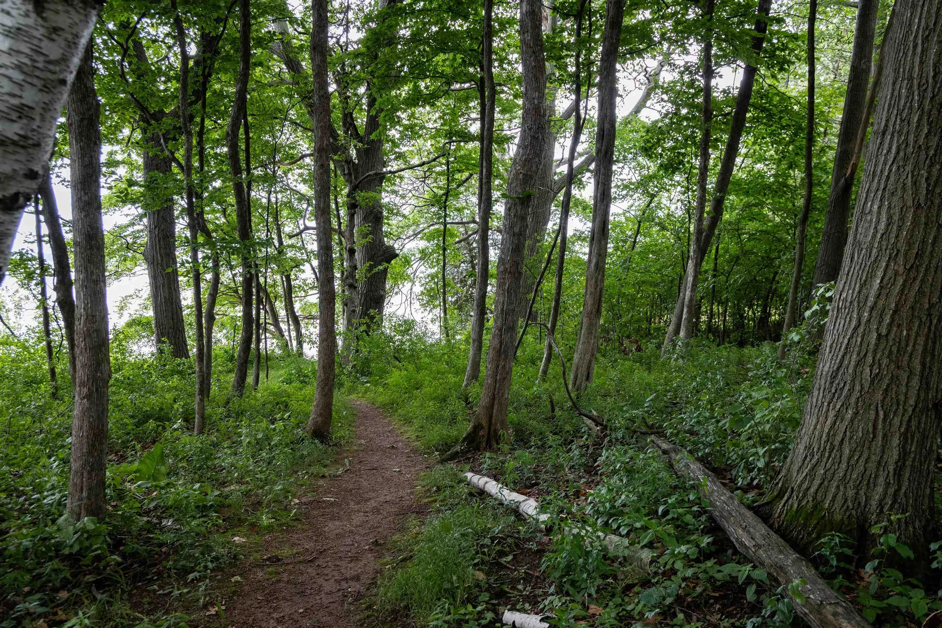 1333 Colchester Point Road Colchester VT 05446