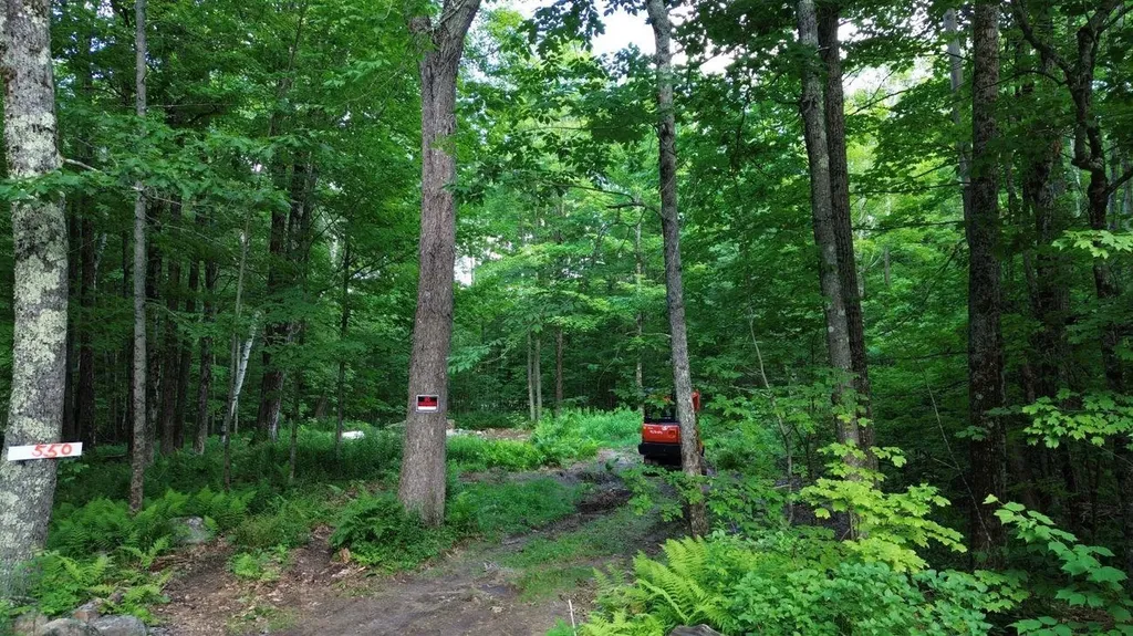550 Kings Highway Stoddard NH 03464
