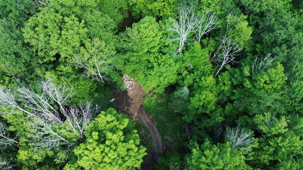 550 Kings Highway Stoddard NH 03464