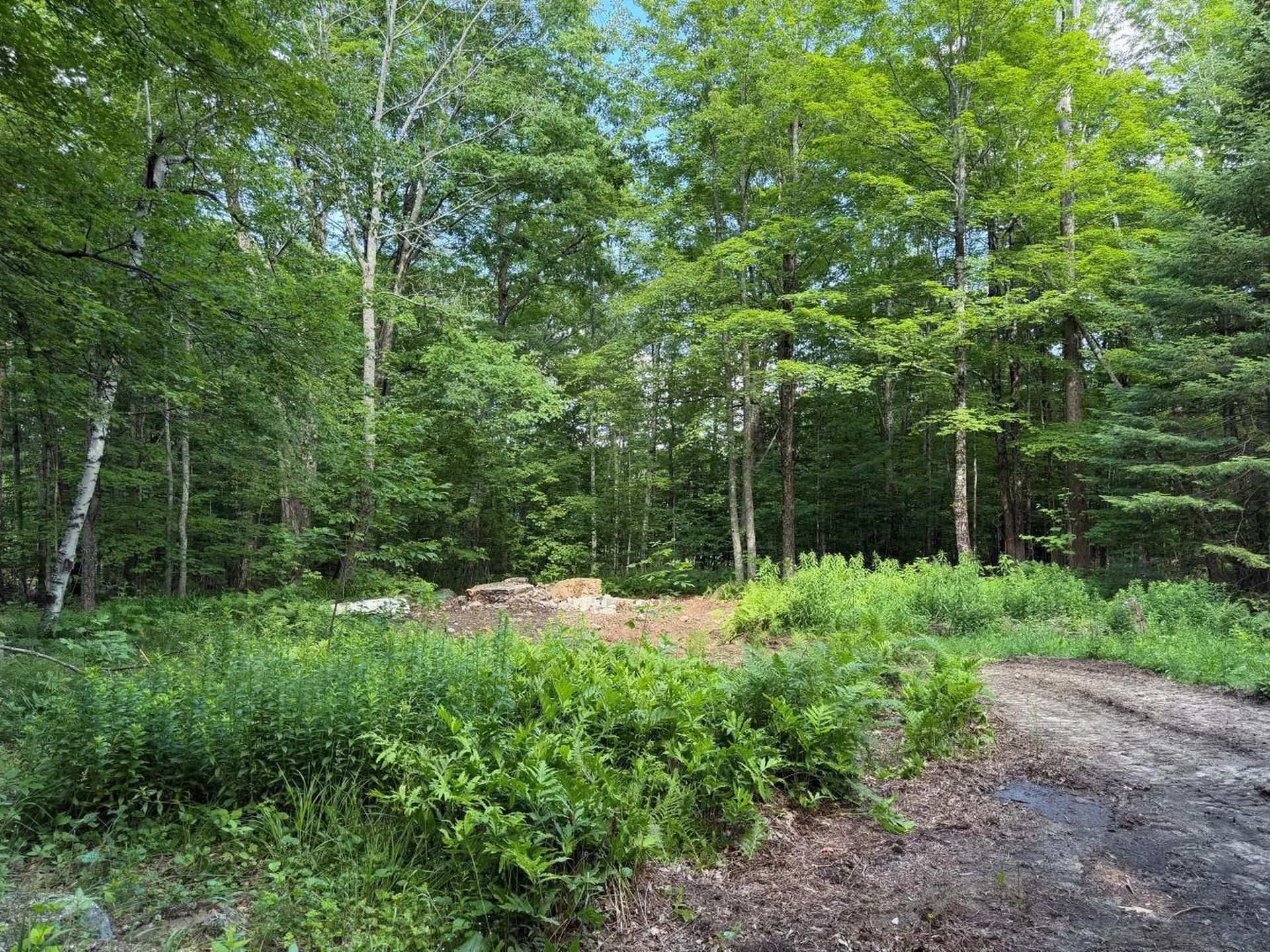 550 Kings Highway Stoddard NH 03464