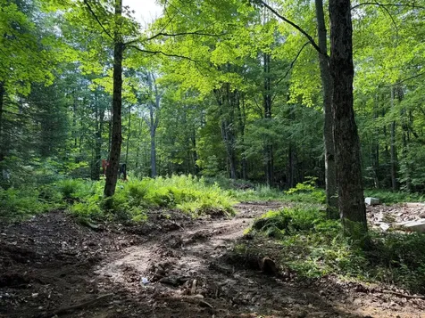 550 Kings Highway Stoddard NH 03464