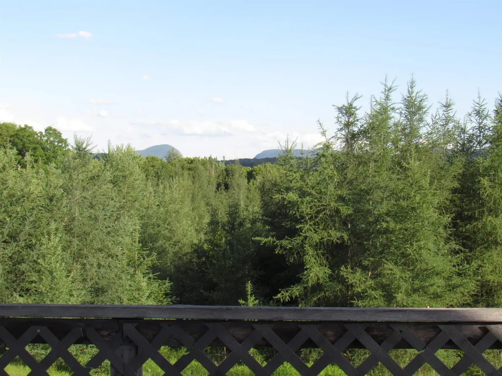 787 Dutton Brook Lane Brownington VT 05860
