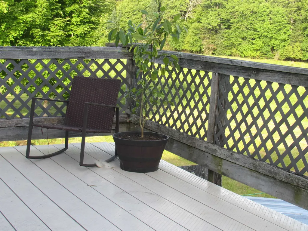 787 Dutton Brook Lane Brownington VT 05860