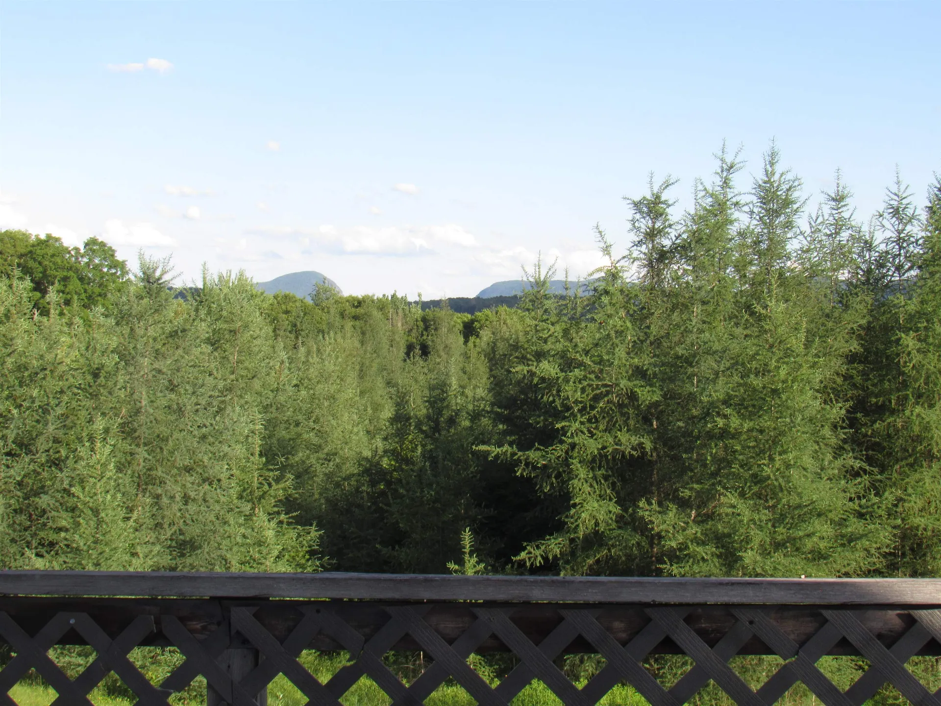 787 Dutton Brook Lane Brownington VT 05860