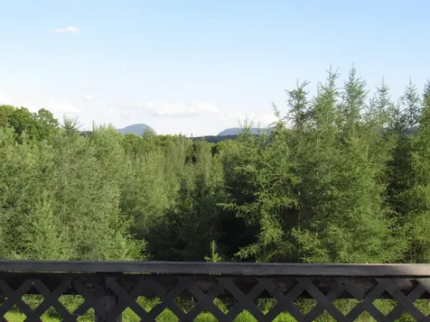 787 Dutton Brook Lane Brownington VT 05860