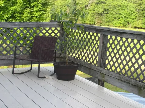 787 Dutton Brook Lane Brownington VT 05860