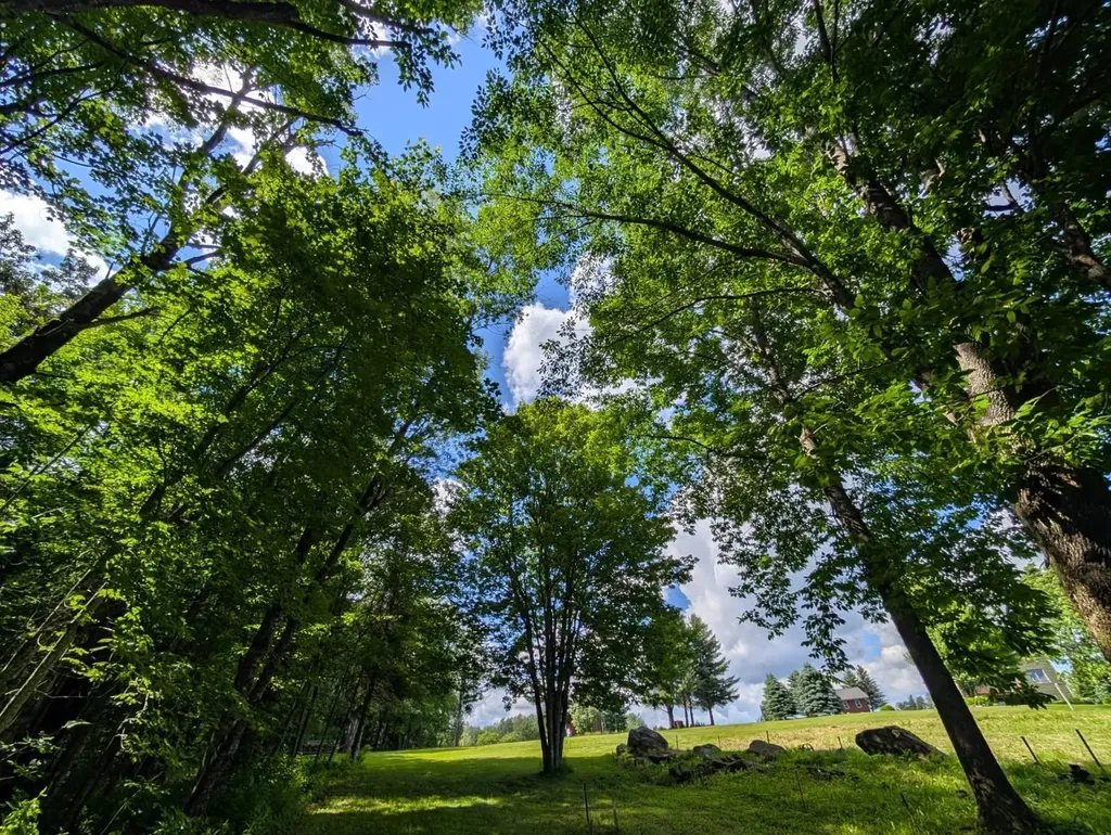 1257 Sniderbrook Road Westfield VT 05874