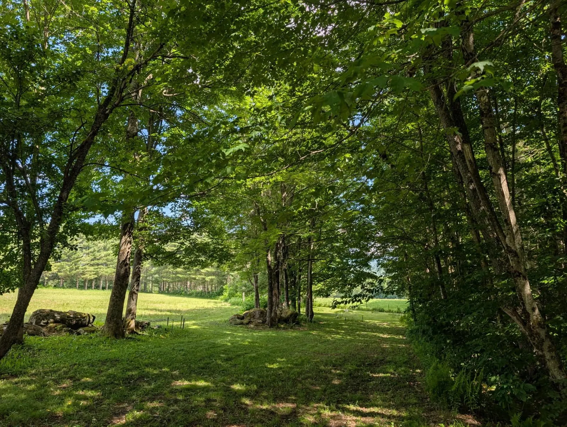 1257 Sniderbrook Road Westfield VT 05874