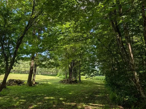 1257 Sniderbrook Road Westfield VT 05874