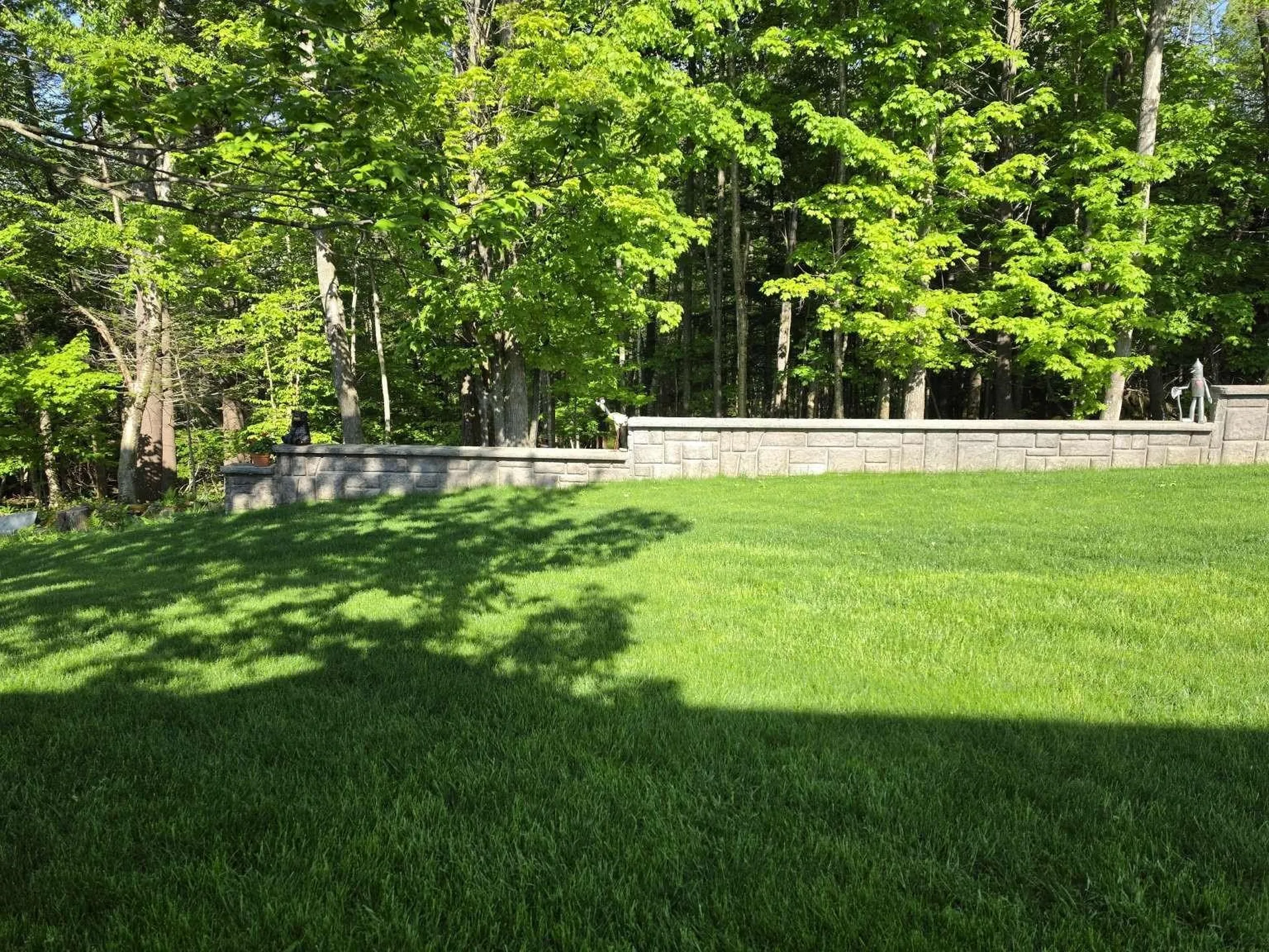 46 Cobble Hill Meadows Barre Town VT 05641
