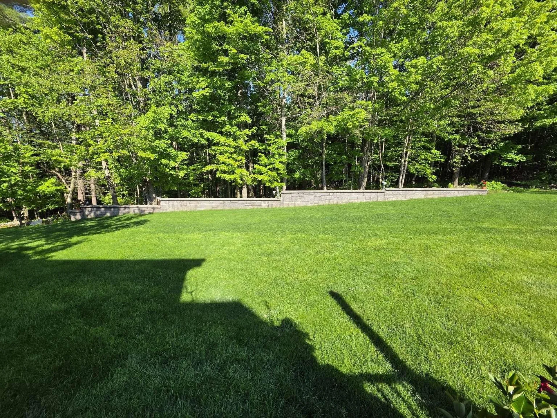 46 Cobble Hill Meadows Barre Town VT 05641