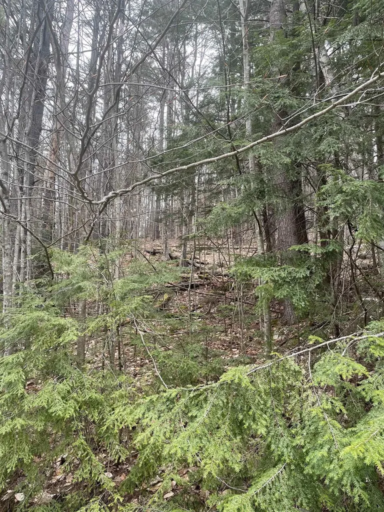 10-4-2 David Thompson Drive Campton NH 03223