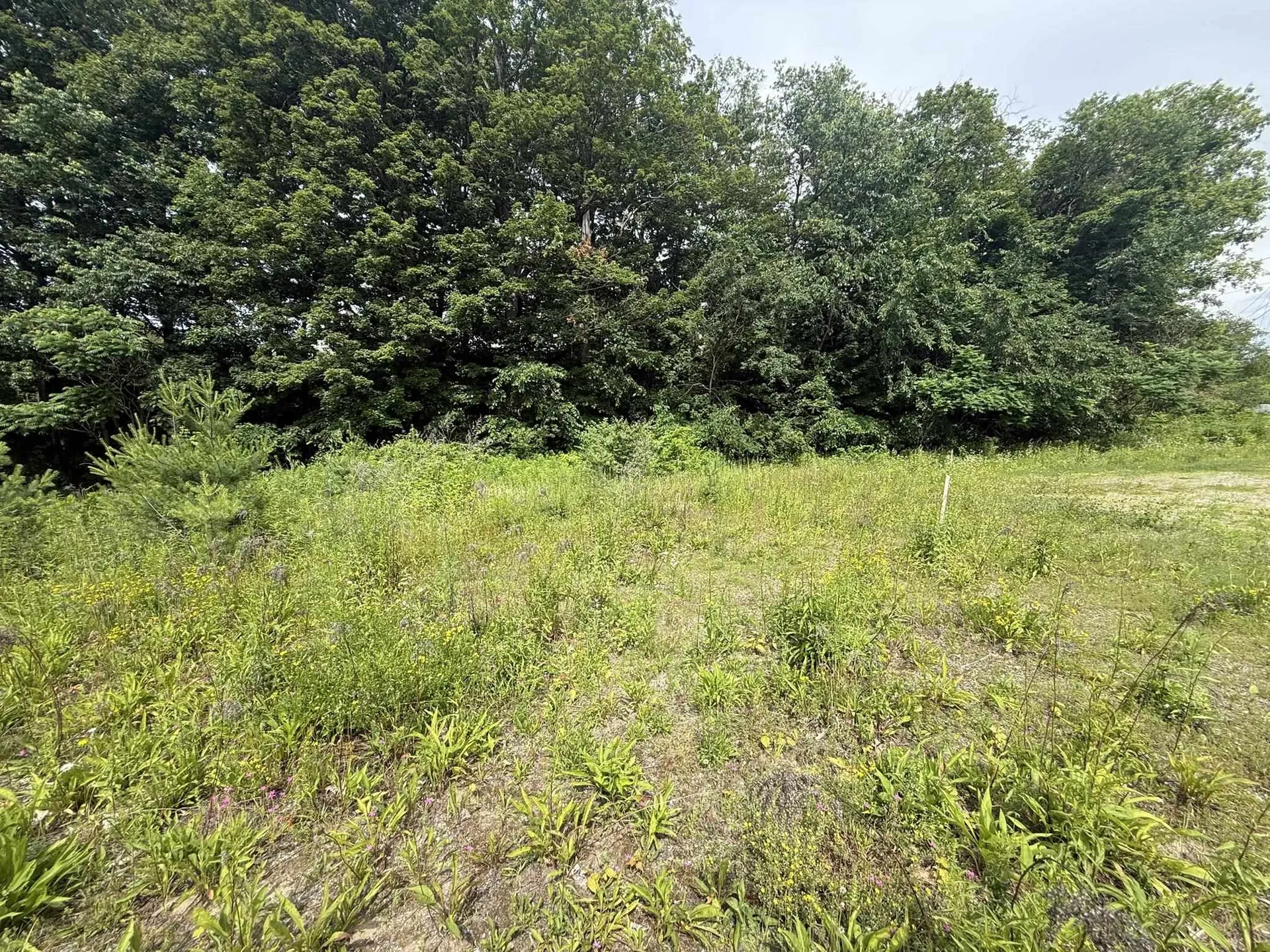 59 Lafayette Street Claremont NH 03743