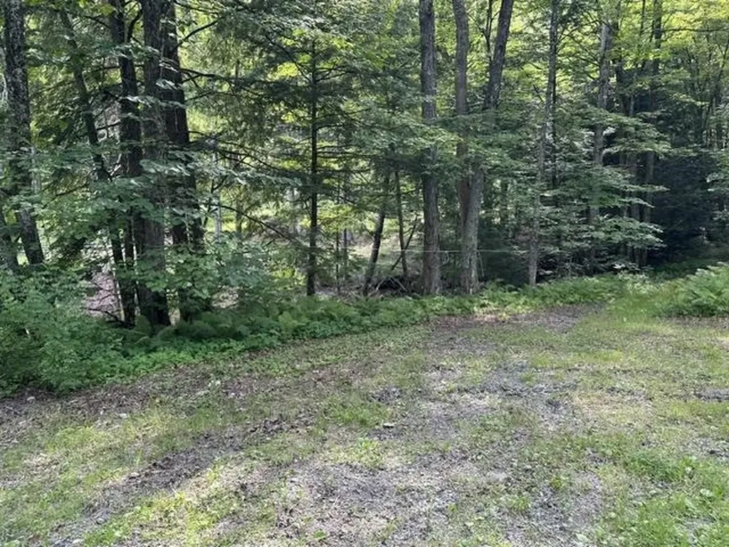 Gird Lot Road Weathersfield VT 05151