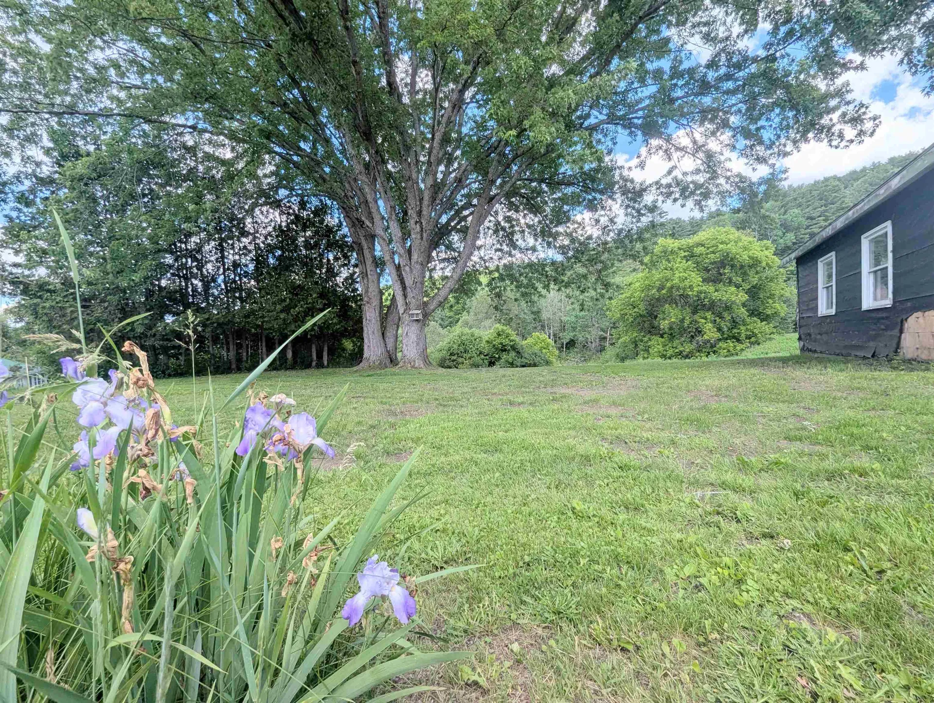 264 Breezy Hill Road St. Johnsbury VT 05819