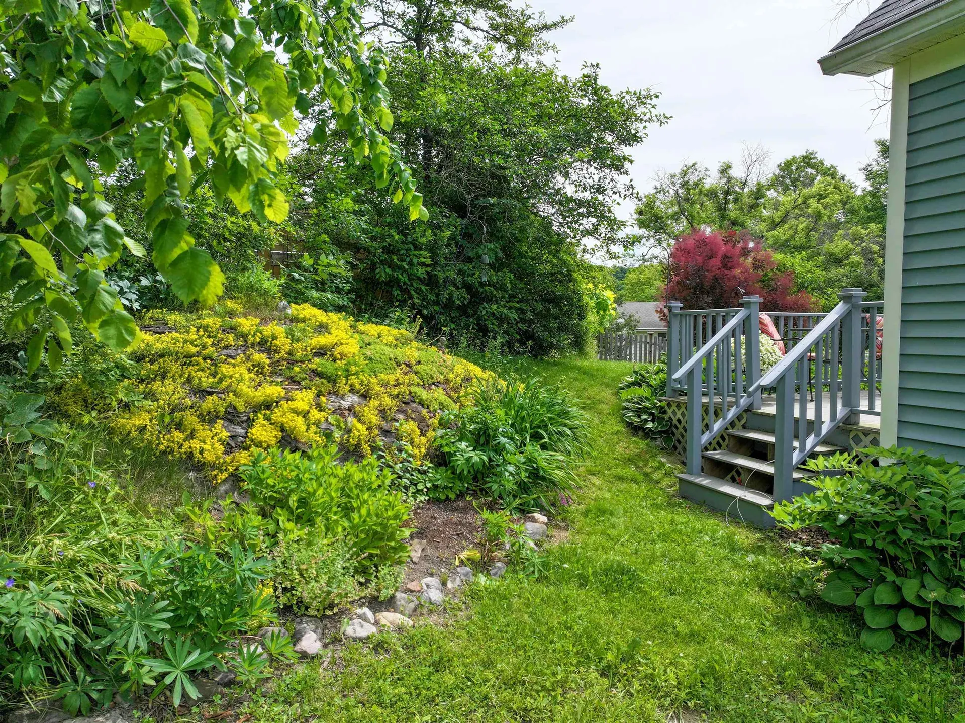 4 Overbrook Drive Middlebury VT 05753