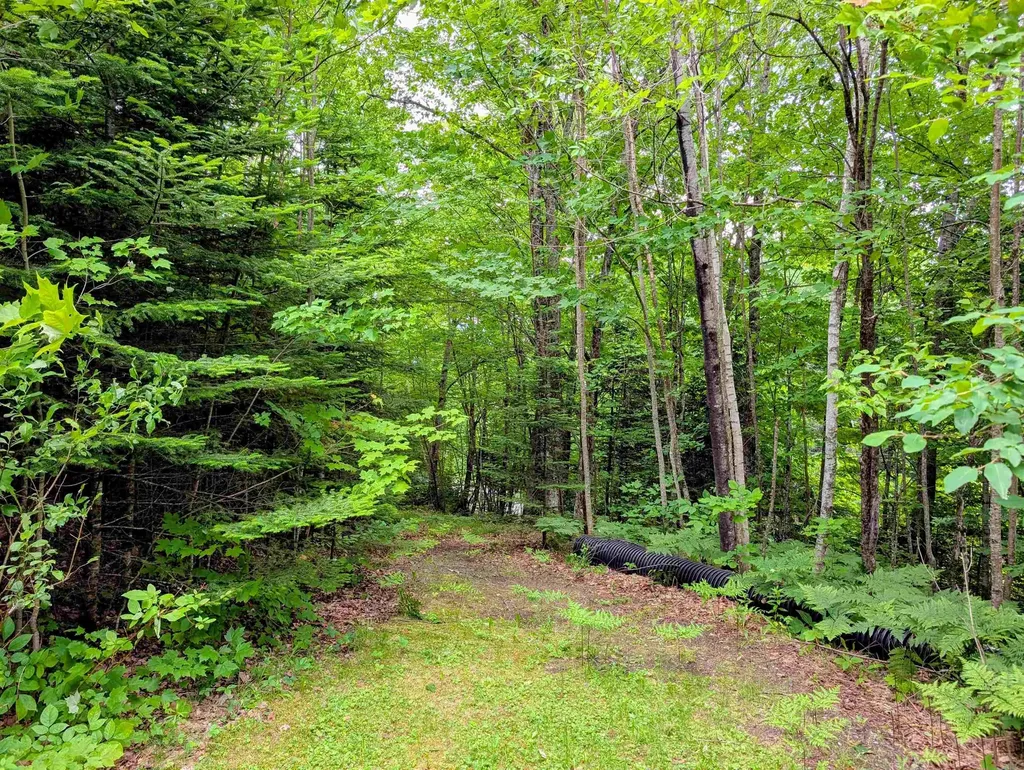 16 Griffin Road Stewartstown NH 03576