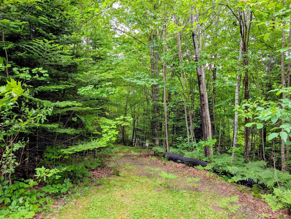 16 Griffin Road Stewartstown NH 03576