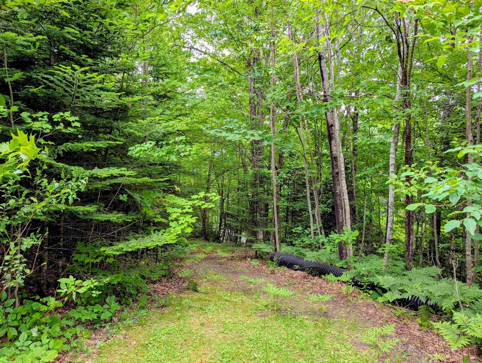 16 Griffin Road Stewartstown NH 03576