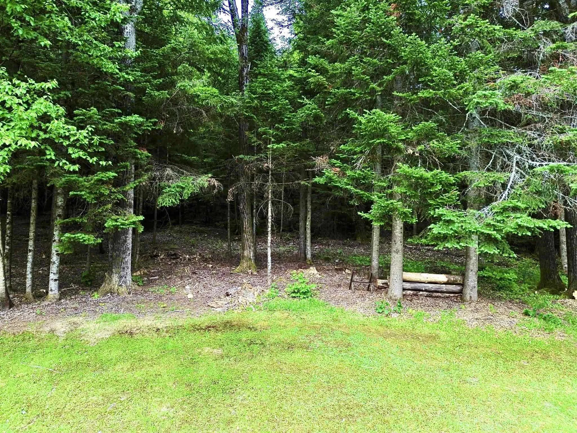 16 Griffin Road Stewartstown NH 03576