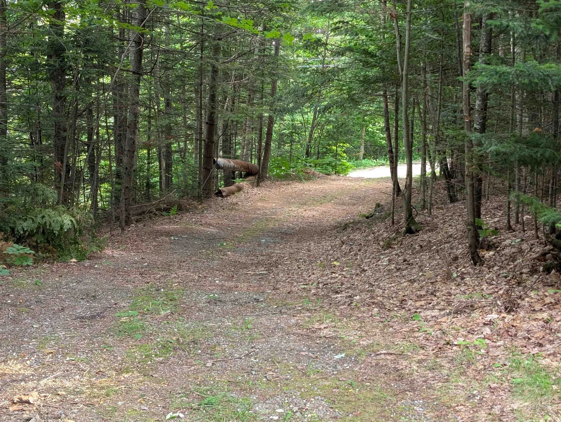 16 Griffin Road Stewartstown NH 03576