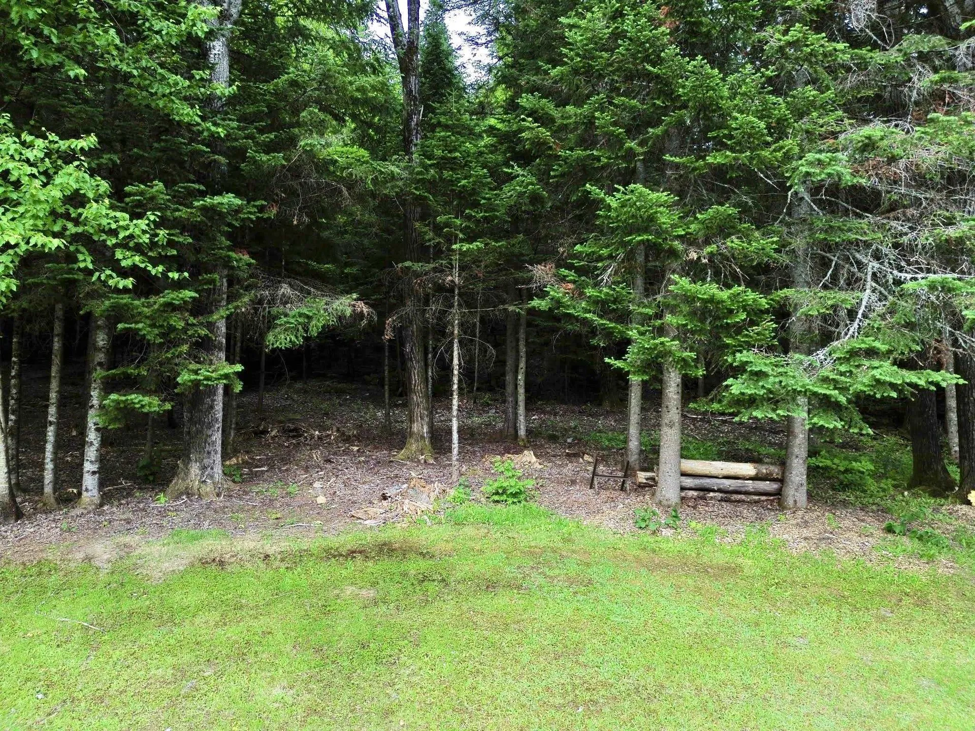 16 Griffin Road Stewartstown NH 03576