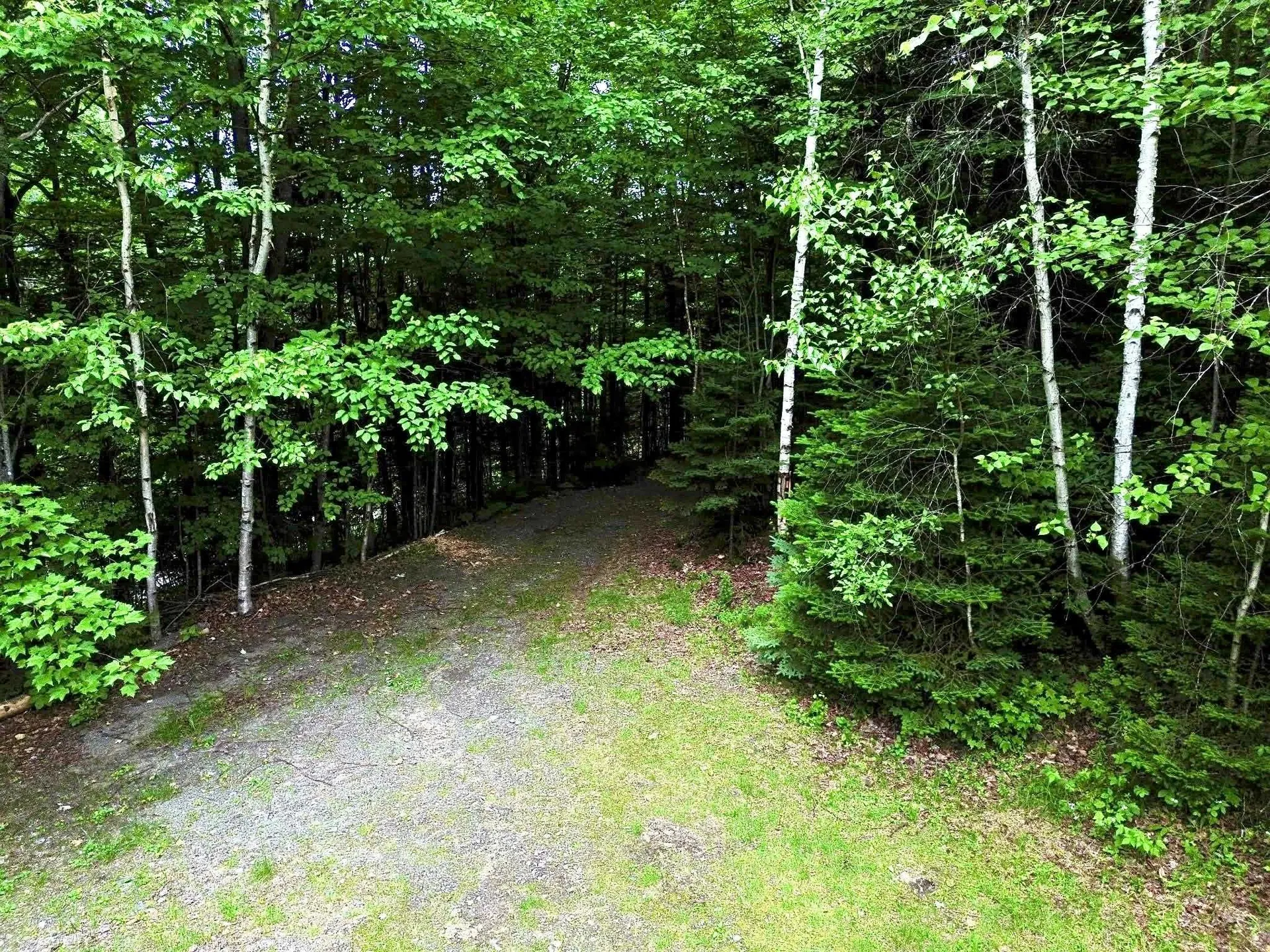 16 Griffin Road Stewartstown NH 03576