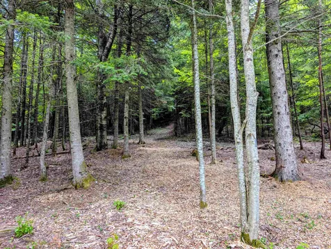 16 Griffin Road Stewartstown NH 03576