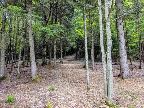 16 Griffin Road Stewartstown NH 03576
