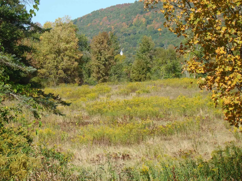 764 Thrall Road Poultney VT 05764