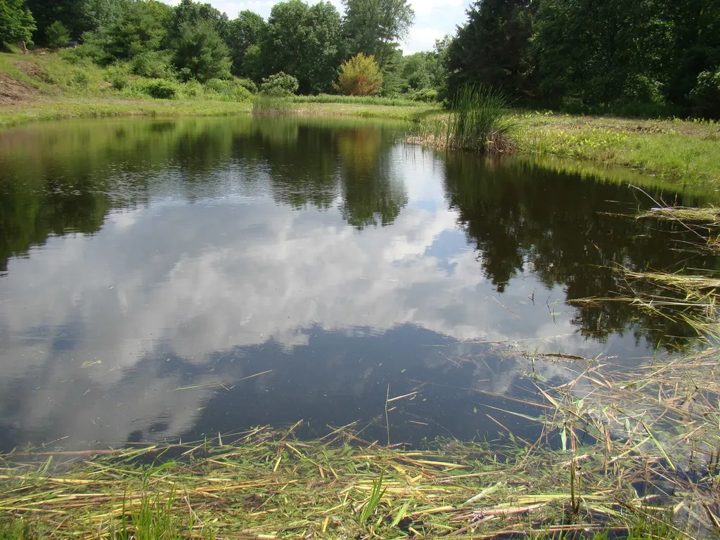 764 Thrall Road Poultney VT 05764