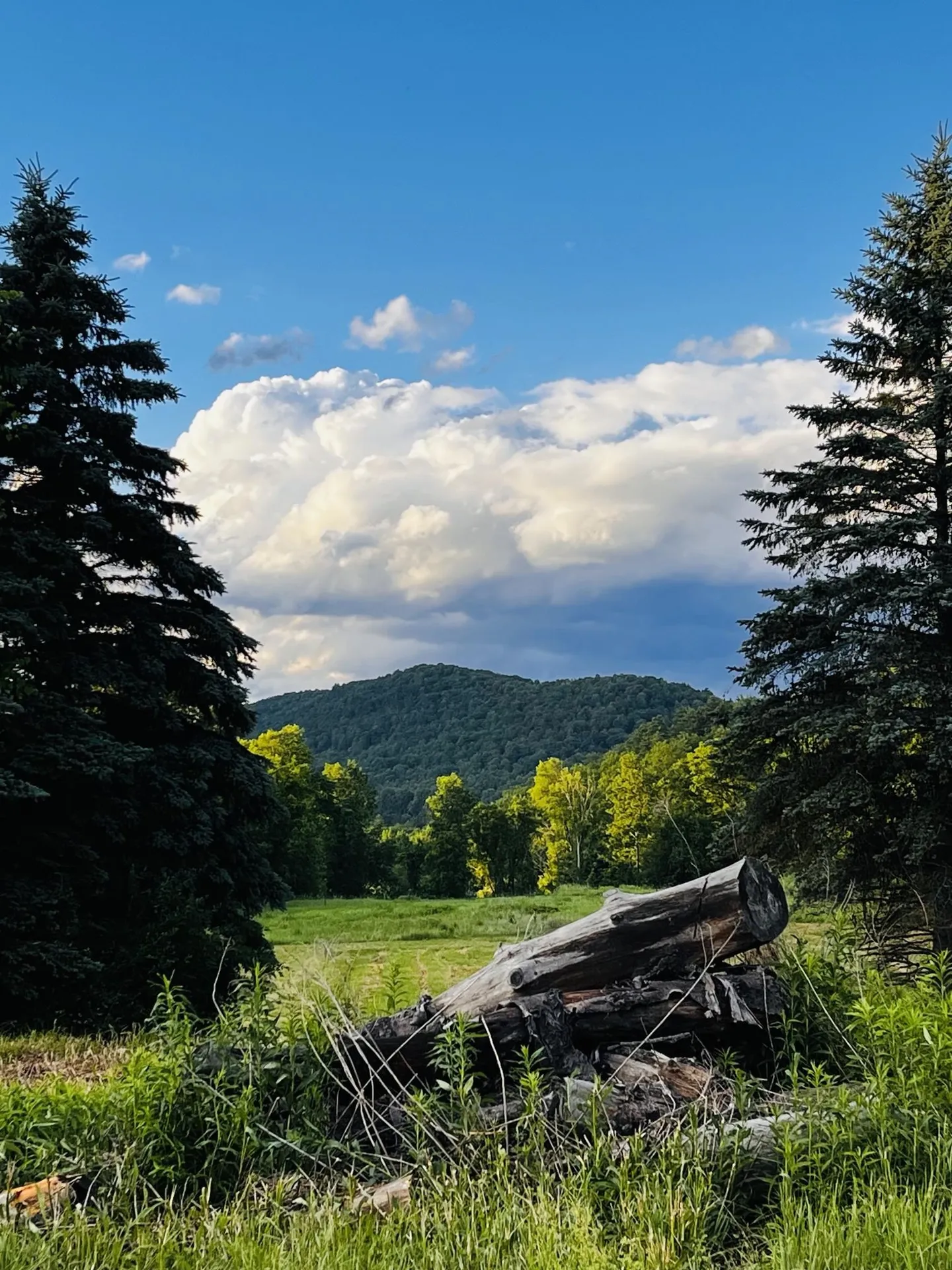 764 Thrall Road Poultney VT 05764